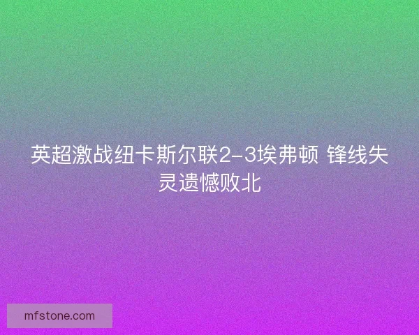 英超激战纽卡斯尔联2-3埃弗顿 锋线失灵遗憾败北