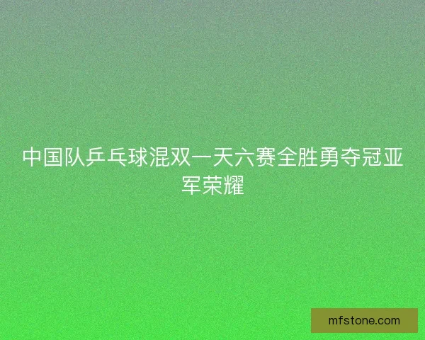 中国队乒乓球混双一天六赛全胜勇夺冠亚军荣耀