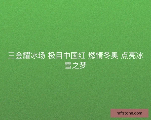 三金耀冰场 极目中国红 燃情冬奥 点亮冰雪之梦